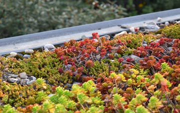 the cost of Crediton green roof installation