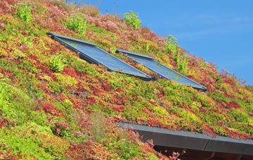 Crediton living roof systems
